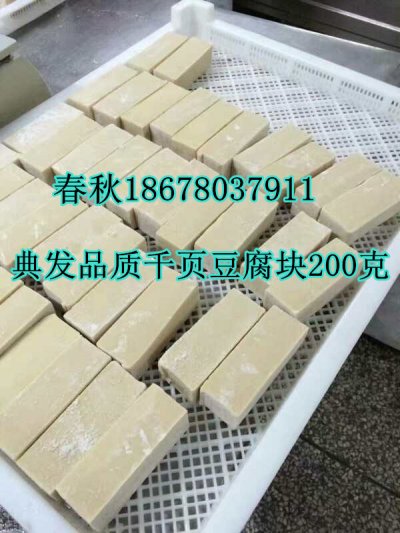 千頁豆腐無泡塊生產技術工藝真空去泡機