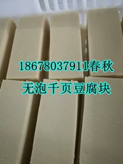 千頁豆腐無泡設(shè)備真空去泡機真空抽漿機春秋專