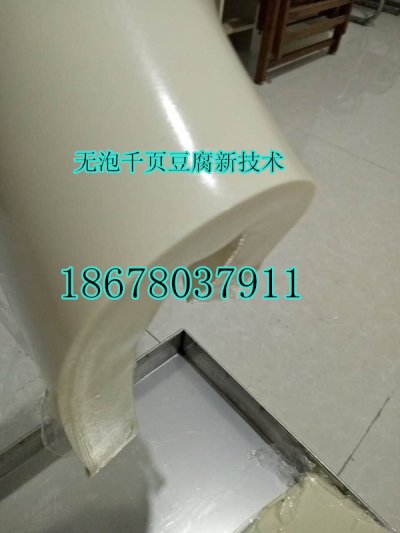 千頁豆腐塊片絲生產(chǎn)設(shè)備，千頁豆腐脆度韌性好